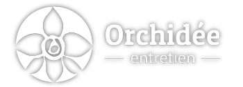 logo orchidée