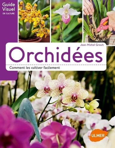 Orchidées – Comment les cultiver facilement